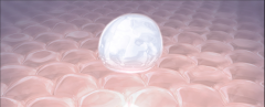 Ů˵ġšla pailanoͽԭ
